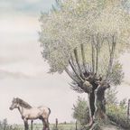 Vic Buys - Tekening Boerenpaard - 1994 thumbnail 7