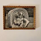Vintage Lijstje Met Foto Zwart Wit Van Een Hond thumbnail 3