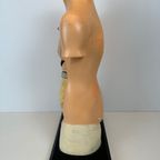 Antiek Anatomisch Model (small) – Plaaster En Papier Maché thumbnail 6