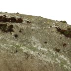 Unieke Grote Tuinvaas Bloembak Tuin Beton Art Deco Xxl Frankrijk 65Cm thumbnail 9