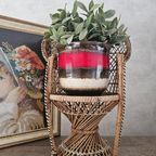Pauwen Planten / Poppenstoel 39 Cm thumbnail 2