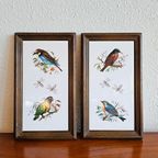 Vintage Tegeltjes Tegeltableau Lijstjes Met Vogels thumbnail 2