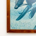 Vintage Prent “Weaver Birds” In Houten Lijst – Origineel Door Louis Prang thumbnail 4