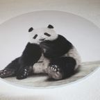 Wandcircel Panda thumbnail 6