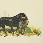 Kleuren Litho’s Boris Riab Jachthond Gesigneerd Kunst Paris thumbnail 9