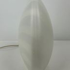Peill & Putzler Zebra Shell Tafellamp thumbnail 9
