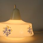 Vintage Opaline Hanging Pedant With Gilded Detailing And Floral Motive thumbnail 3