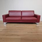 70% Korting - Showroommodel - Rolf Benz Ego-3 Zits-bordeaux thumbnail 14