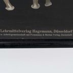 Jung Koch Quentell ‘Roter Seestern’ 60236 thumbnail 5