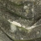 Prachtige Verweerde Apollo Buste Tuinbeeld Gegoten Steen 65cm thumbnail 20