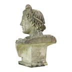 Prachtige Verweerde Apollo Buste Tuinbeeld Gegoten Steen 65cm thumbnail 3