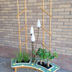 Zeldzaam Mooie Originele Jaren 60 Plantentafel thumbnail 8
