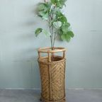 Vintage Design Bamboo Rattan Reed Umbrella Stand Plant Holder Paraplubak thumbnail 4