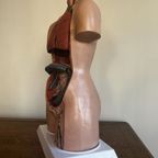 Torso🫀 thumbnail 7