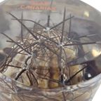 Vintage - Acryl - Lucite - 'sea Life' - 3e Kwart 20e Eeuw thumbnail 5