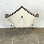 Iconische Vitra Coconut Chair – Modernistisch Design In Grijs Leer thumbnail 6