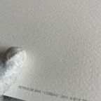 Petrus De Man, L’oiseau 2011 thumbnail 2