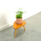Fineer Plantentafel Nr. 18, Bijzettafel thumbnail 3