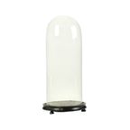 Grote Antieke Stolp Globe Mondgeblazen Glas Begin 20ste Eeuw thumbnail 12