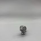Miniatuur Teckel Zilverkleurig 4 thumbnail 3