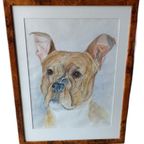 Aquarel J. Van Roey "Hond". thumbnail 2