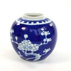 Chinees Gemberpotje Blauw/Wit Kersenbloesem Prunus thumbnail 2