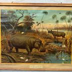 Vintage Linnen Schoolkaart – In Het Gebied Van De Bovennijl thumbnail 2