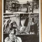 Jean Claude Claeys Porte Folio Paris, 1982 thumbnail 14