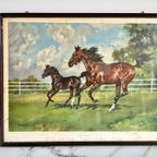 “The Joy Of The Gallop” By Ignace Konrad. Print Nr. 1656 thumbnail 6