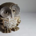 Ceramic Owl Sculpture By Elisabeth Vandeweghe 1970S, Belgium. thumbnail 3