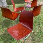 Set Van 6 Pagholz Stoelen Eetkamerstoelen Vintage thumbnail 2