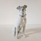 Fritz & Ilse Pfeffer Gotha Germany Porselein Hond Beeld thumbnail 5