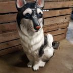 Porselein Beeld Husky Palladio Italy thumbnail 6