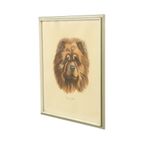 Vintage Ingelijste Kleuren Litho Hond Chow Chow Gesigneerd thumbnail 7