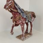 Tang Dynasty Paard thumbnail 17