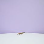 Gouden Bronzen Beeldje Salamander thumbnail 3