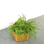 Rotan Bamboe Plantenbak Op Wielen, Bloempot thumbnail 6