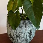Marbelous Cache-pot thumbnail 7