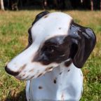 Handmade Midcentury Porseleinen Beeld, Italy Pointer Hond😍 thumbnail 8