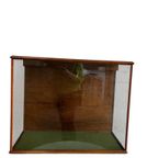 Vintage Mini Etalage / Vitrine / Glazen 'bak' thumbnail 5