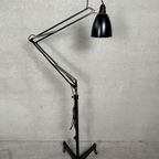 Original Anglepoise Herbert Terry 1209 – Vloerlamp – 1940’s thumbnail 16