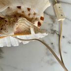 Vintage Schelp-Lamp thumbnail 14