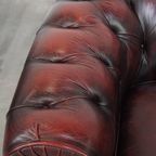 Grote Donkerrode Gevlamde Rundleren Chesterfield Clubfauteuil/ Armchair thumbnail 9