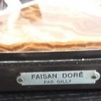 Faisan Doré Par Gilly. thumbnail 7