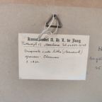 Clerman - Lithografie - Scheveningen Ca. 1830 thumbnail 8