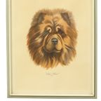 Vintage Ingelijste Kleuren Litho Hond Chow Chow Gesigneerd thumbnail 3