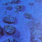 Yves Klein (1928-1962), Relief Éponge-blue Re 17, thumbnail 7