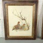 Mads Stage - 3 Prenten Met Vogels thumbnail 3