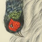 Maurice Brailly Jachthond Fazant Vintage Grafiek In Kleur 1972 thumbnail 11