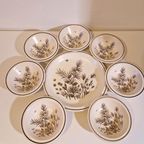 Pinewood By W.H. Grindley Co Ltd Schaaltjes Set thumbnail 4